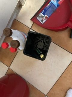 Mateusz, Opole Mateusz, Opole