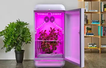 Growbox