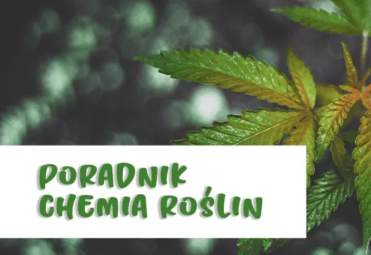 N-P-K, Ca Mg, CO2 - chemia twojego ogrodu