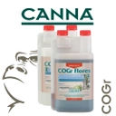 CANNA COGr Flores A+B - kwitnienie