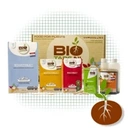 BioTabs Zestaw Startowy INDOOR