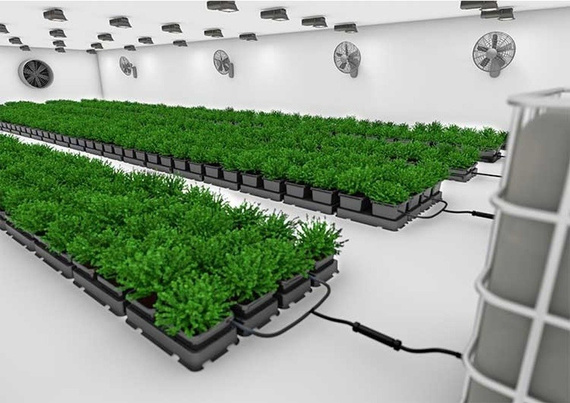 AutoPot Easy2Grow - 6 donic 15L + 47L zbiornik