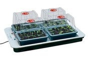 PODGRZEWANA TACA 59,5x41x h20cm 230V + 4 SZKLARENKI