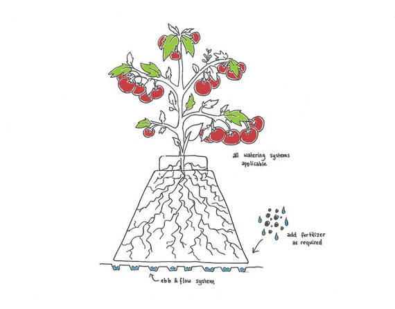 Eazy Plug piramida do wysiewu 4.8L 