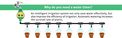 Water Timer - programator nawadniania