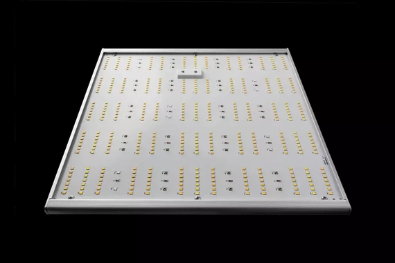Lampa LED CALUMA Force 150W 2.7μmol