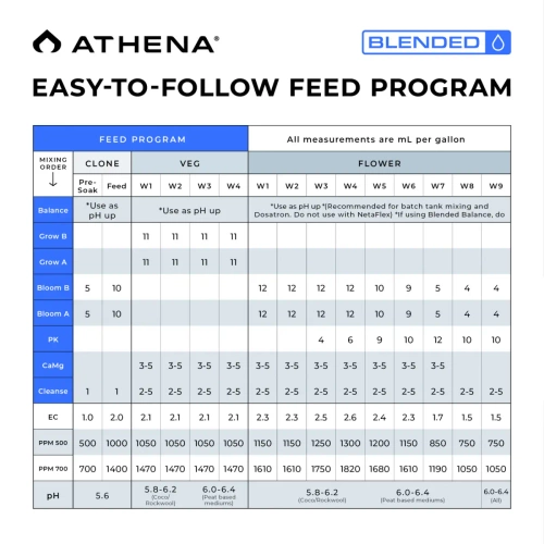 Athena Starter Kit