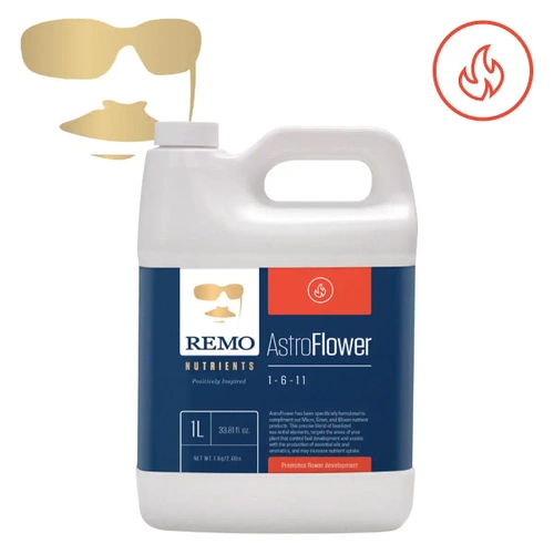 Remo Astro Flower