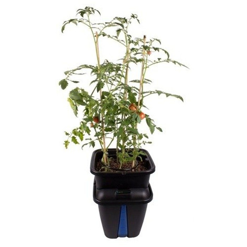 PLANT!T Gemini DWC & DRIP - system hydroponiczny na 1 roślinę