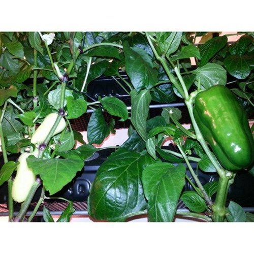 4SM - Pionowy System Hydroponiczny 400-600W