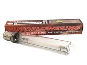 Lampa / żarówka HPS Phytolite Autoflowering 600W