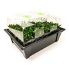 Propagator Nutriculture 120 sadzonek