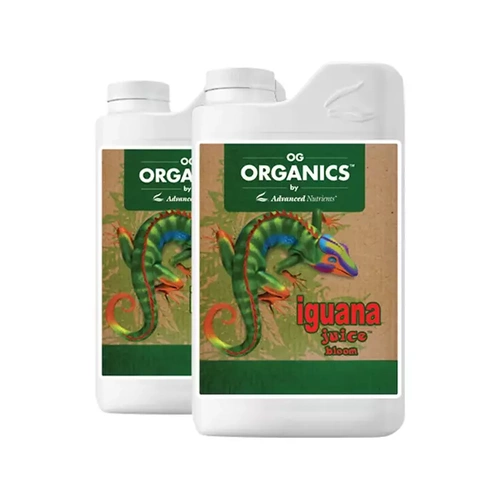Organic Iguana Juice Bloom