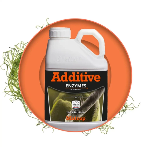 Metrop Enzymes - wzmacniacz podłoża