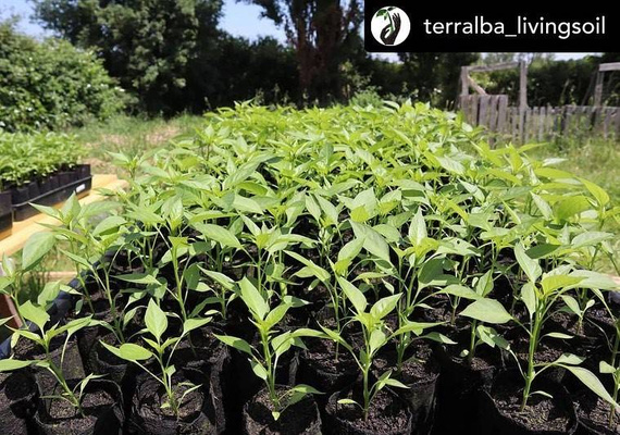 Doniczka okrągła materiałowa z uchwytem Root Pouch