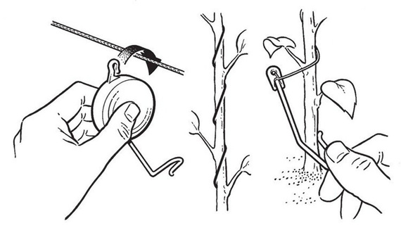 Rolka JOJO z linką do kształtowania roślin 8 szt