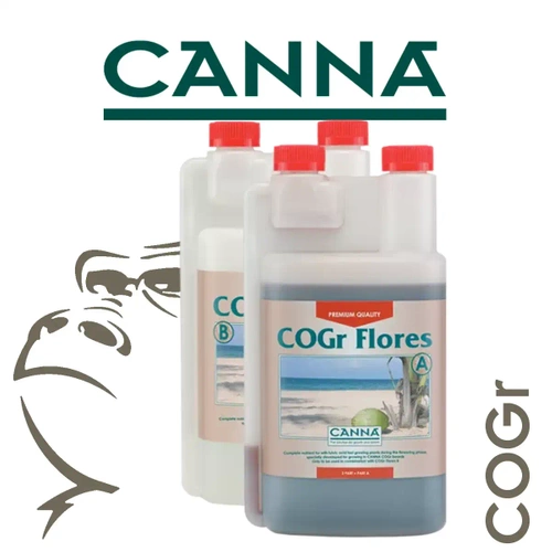 CANNA COGr Flores A+B - kwitnienie
