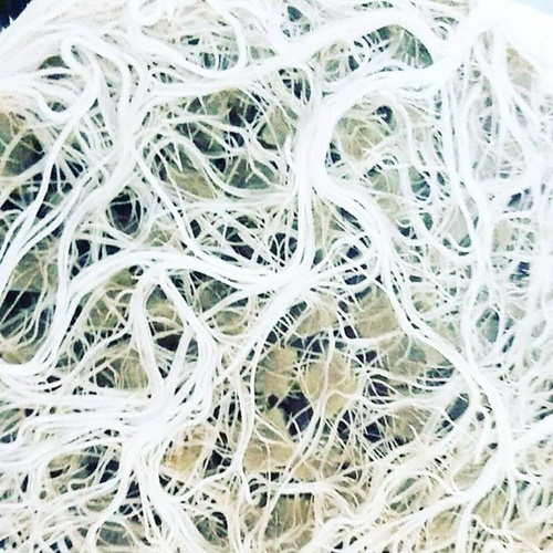 MycoTerra Kraken granulat - biostymulator wzrostu i odporności korzeni