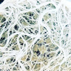 MycoTerra Kraken granulat - biostymulator wzrostu i odporności korzeni 
