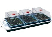 Propagator 85x41x h20,5cm 230V + 3 SZKLARENKI