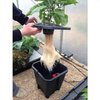 KOMPLETNY SYSTEM HYDROPONICZNY OXYPOT,  19L, 35x35xh38cm, 1 PLANT 
