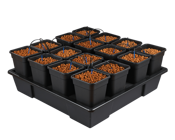 WILMA XXL 16, 115*115*20CM/150L