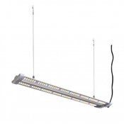 Zasilacz cyfrowy HORTI regulacja 4-stopniowa 600W