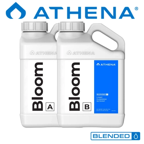 Athena Bloom - do fazy kwitnienia roślin owocujących i kwitnących