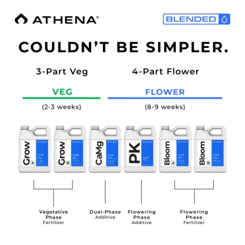 Athena Starter Kit