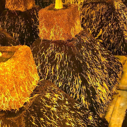 Eazy Plug piramida do wysiewu 4.8L 