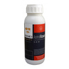 Remo Astro Flower