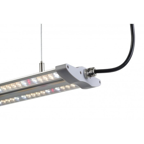 Lampa do roślin Hortimol T-LED 60W