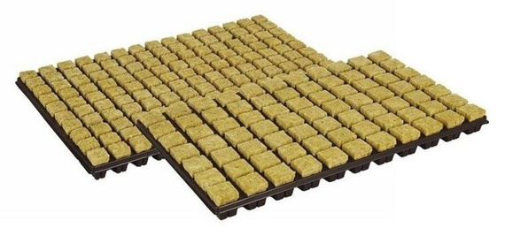Taca z kostek wełny mineralnej 150szt 2,5x2,5cm