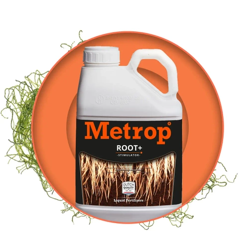 Metrop Root+ - stymulator korzeni