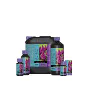 Blossom Builder Atami B`Cuzz, nawóz końcowy zwiększający masę