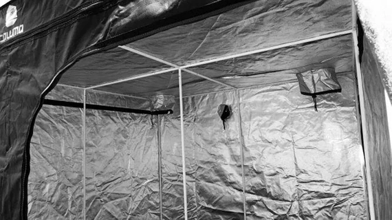 Caluma Skin 200x200xh200cm  / namiot do uprawy roślin