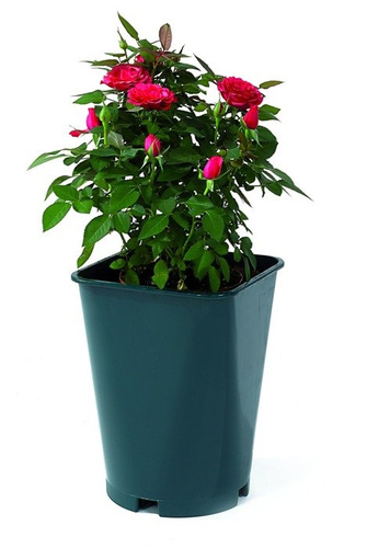 Donica plastikowa kwadratowa 11L (25x25xh26cm)