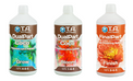 GHE Coco Premium DUO - zestaw