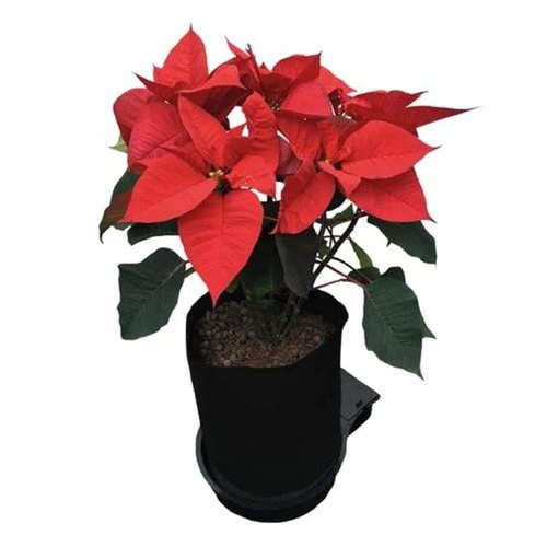 AutoPot  SmartPot XL - 2 donica + 47L zbiornik