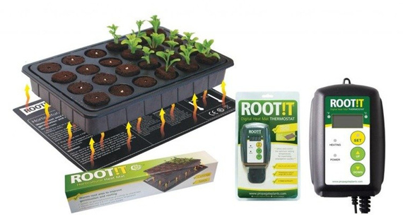ROOT!T® Cyfrowy termostat 20-42°C 1000W - współpracuje z matami grzewczymi 