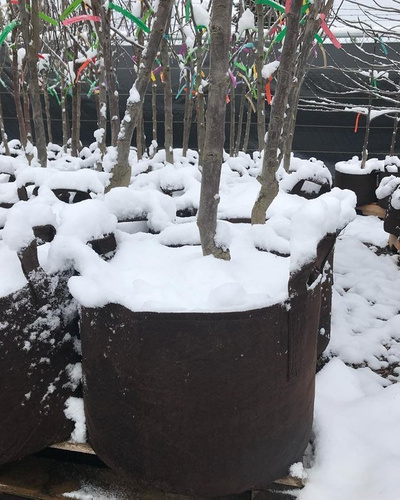 Doniczka okrągła materiałowa z uchwytem Root Pouch