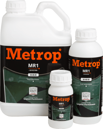 Metrop MR1 Grow - wzrost