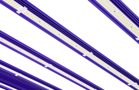 LED Lumatek ZEUS 1000W PRO EVO 200x150cm 3.1