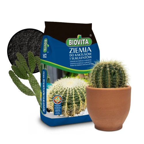 Biovita ziemia do kaktusów i sukulentów 5l