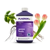 Plagron Power Buds - stymulator kwitnienia