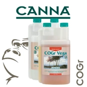 Canna Cogr Vega A+B - wzrost