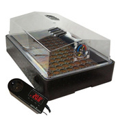 Zestaw do ukorzeniania i klonowania propagator+taca+termostat