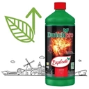 DutchPro Explode - stymulator kwitnienia