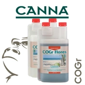Canna Cogr Flores A+B - kwitnienie