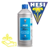 Hesi Phosphorus Plus - wzmacniacz kwitnienia